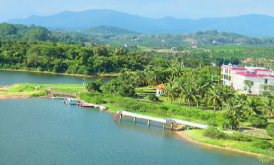 智慧林業(yè)大數(shù)據(jù)平臺綜合解決方案